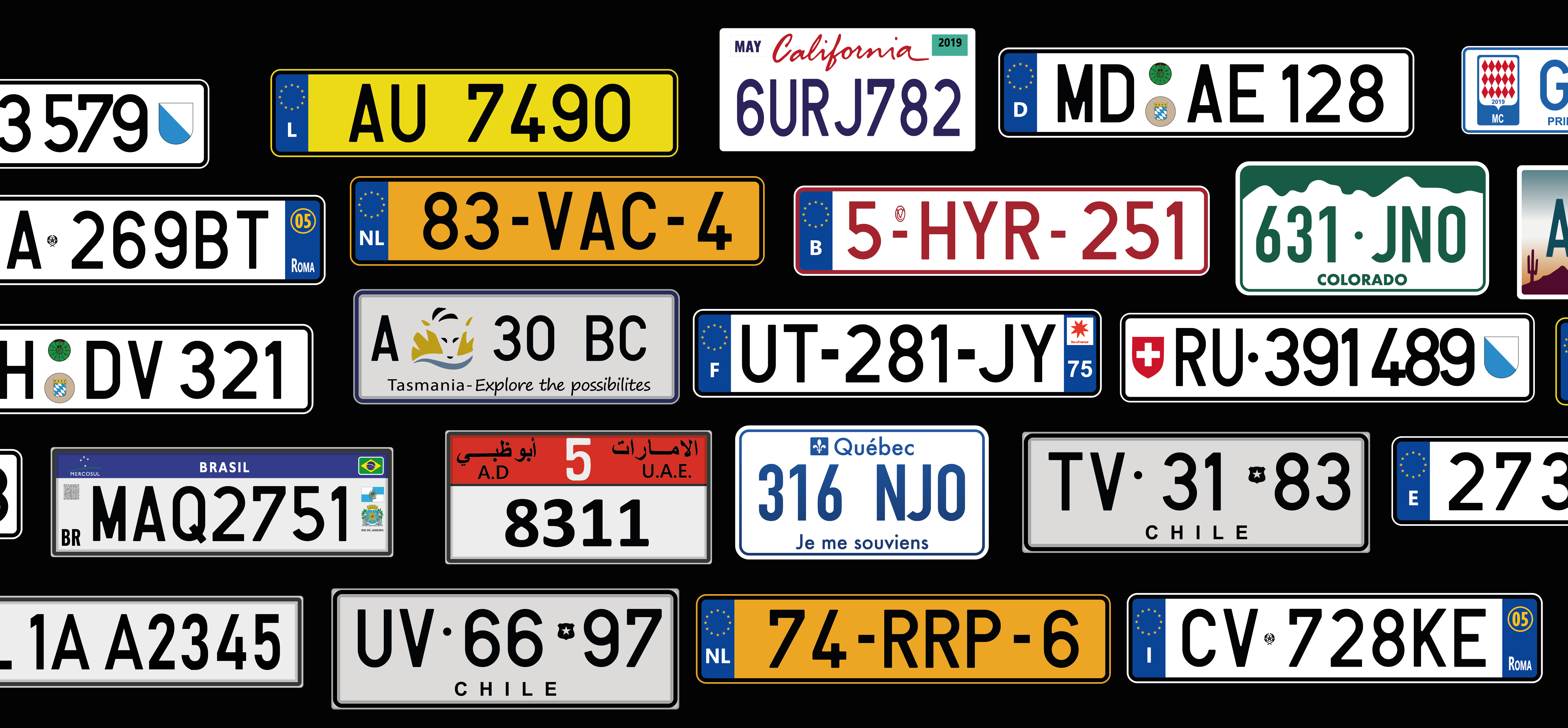 Quercus License plate